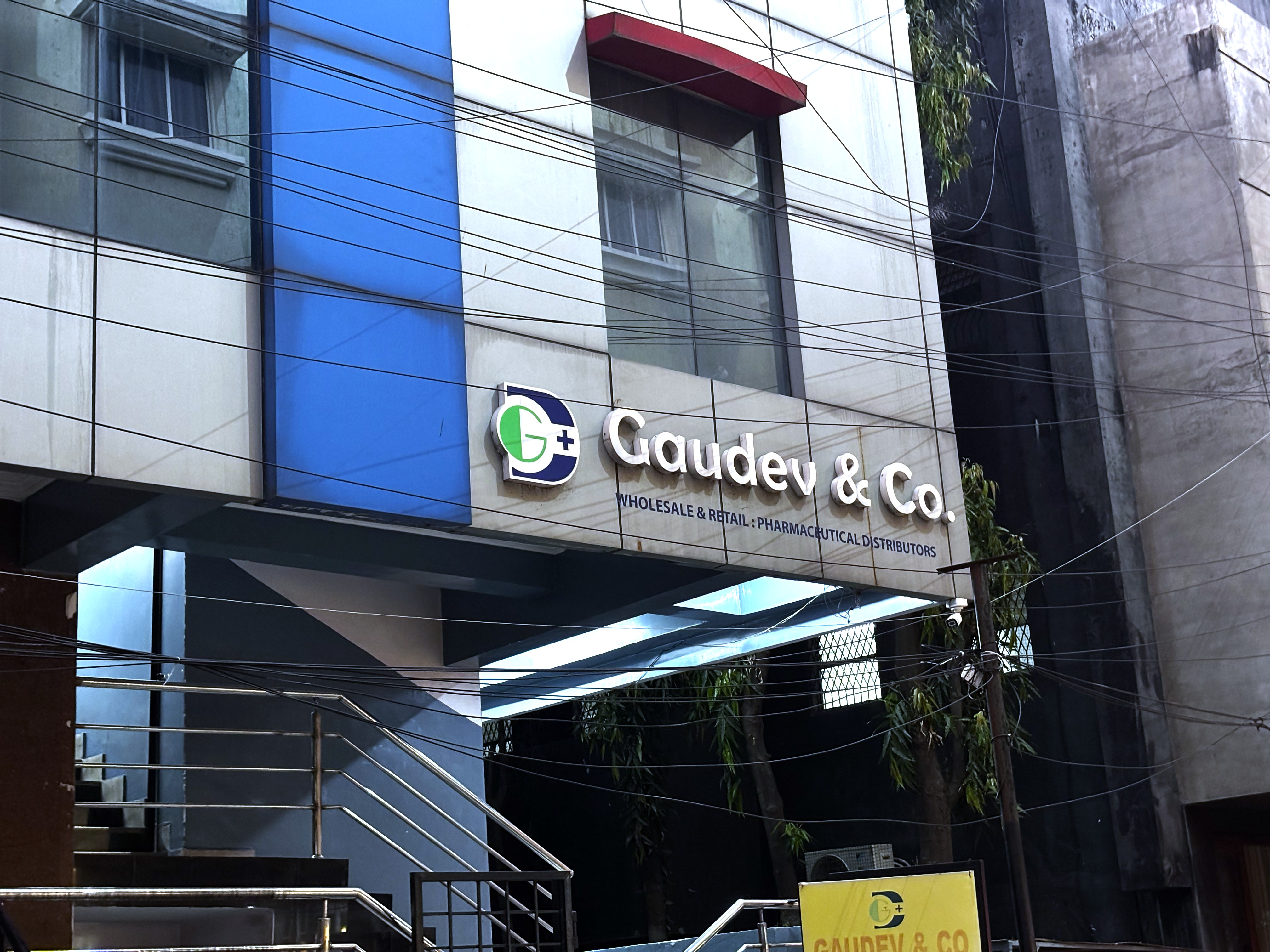 Gaudev & Co diverse team of professional pharmaceutical executives in boardroom