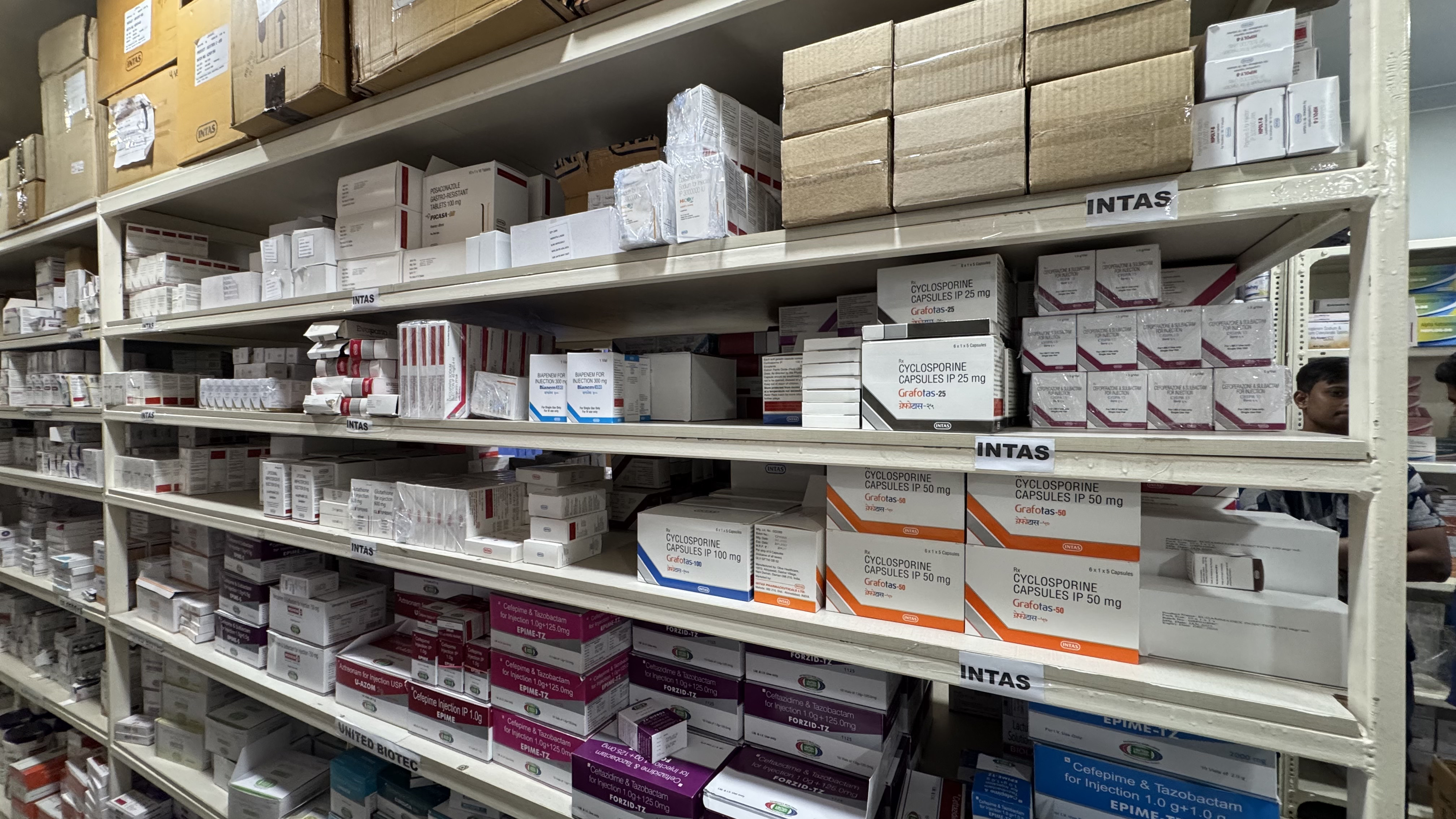 Gaudev & Co pharmacist reviewing organised pharmaceutical inventory